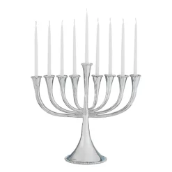 Cheap 👍 Michael Aram Molten Menorah Silverplate 🎁