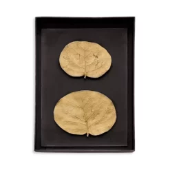 Top 10 ๐ Michael Aram Botanical Leaf Shadow Box Gold ๐ฅ